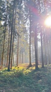 frühlingswanderung flexx chemnitz 11 frühlingswanderung flexx chemnitz 11