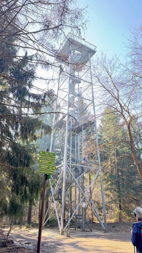 frühlingswanderung flexx chemnitz 15