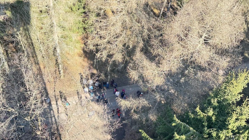 Flexx Frühlingswanderung Wald